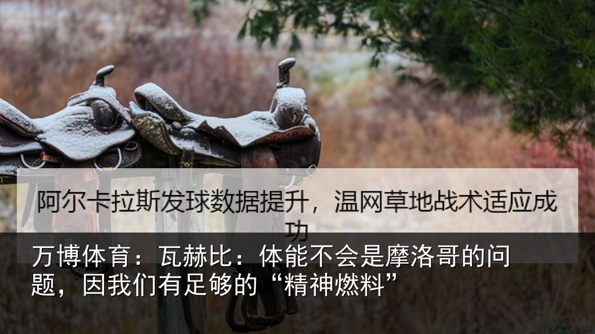 万博体育:瓦赫相关情况哥的相关情况的“精神燃料”