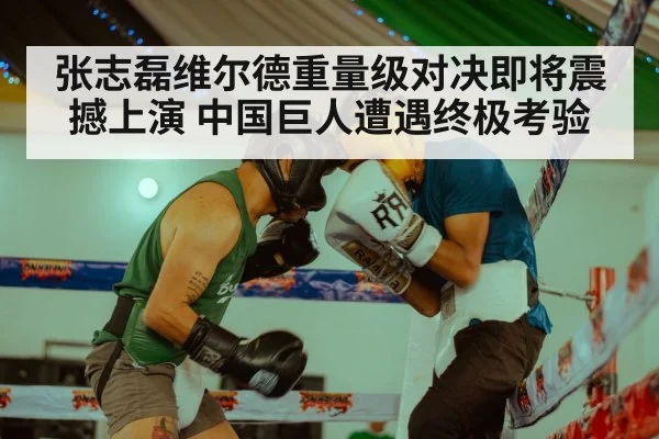 张志磊维尔德重量级对决即将震撼上演 中国巨人遭遇终极考验